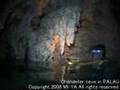 神秘的な海中鍾乳洞！Chandelier cave （シャンデリアケイブ） PALAU パラオ
