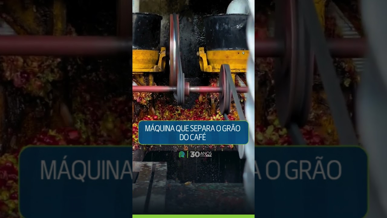 Máquina que separa o grão do café