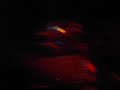 boowang,madkillah n dj coki live @metro bar