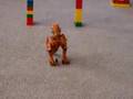 Trex Suicide 3