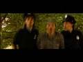 Spotlite - Sharko