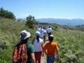 Percurso Pedestre 'Pedras, Moinhos e Aromas de Santiago'