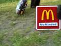 McDonald's Olympic Spirit - Agnes Sinnema