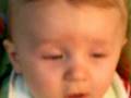 videos de babble baby