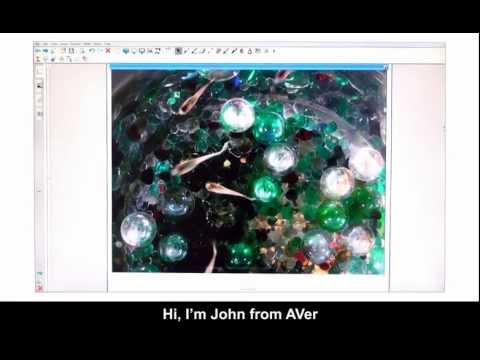 AVerVision Flash Plug-in