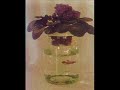 Developing an advanced gardeding by self-watering systems employing new conceptions in hydrodynamics regarding fluids moving on porosity and conduction between hydrological zones.