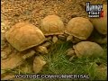 زيارة المرحوم الشيخ جابر الاحمد الى افريقيا 1989