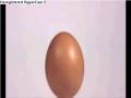 videos de Funny Random Stuff