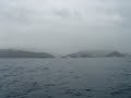 fishing with live bait 01