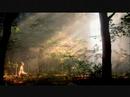 Joseph Smith  the Prophet (2)