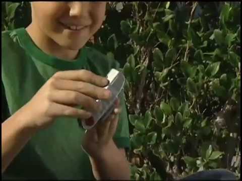 MICRO CAMARA