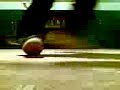 trigzz walk g-inc bi sudy