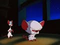 Pinky y cerebro cap uno