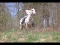 A video I made for my mom