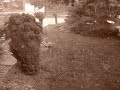 sunny weather one second, then a huge black cloud blocked out the sun.

minutes later it was raining, then hailing.

(my dog was still hiding out upstairs)

within 10-15 mins it was calming down, and the sun came back out.

it's like being in some crazy unstable universe.

things are changing.


hope you enjoyed the video.
