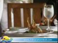 videos de velas vallarta pub.WMV