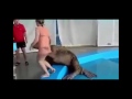 Dieren in MenCave.TV Dieren in MenCave.TV