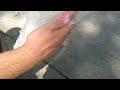 Epic Customs Battle Part 2