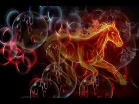 horses grand national horses grand national
