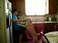 overly excited dog wanting to go for a walk