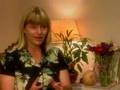 and harmony to your home by moving a couch. Well, it's not really that simple......interior design remodel feng shui kudzu