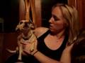 Meet Karma, the Amazing Singing Chihuahua