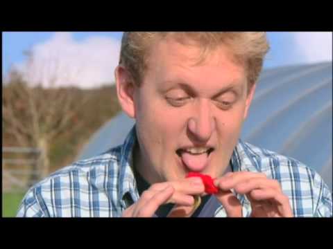 Dangerous Food to Eat 2