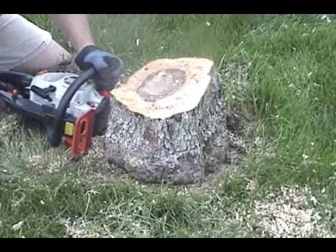 how to dissolve tree stump