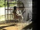 my photgraphy my photgraphy