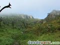 Lomas de Lachay - Lord of the rings ?