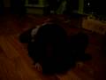 videos de SANY0198