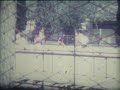allenamento pattinaggio1