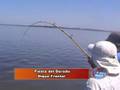 videos de VAMOS DE PESCA TV, PROGRAMA 15 DE NOVIEMBRE