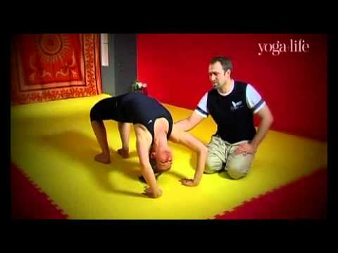 Смотрите видео