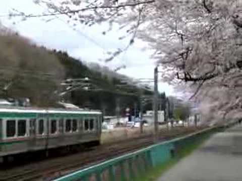 一目千本桜と徐行運転する電車