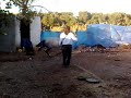 baladre el gavilan