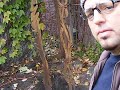 Found wood fencing , turned into art Found wood fencing , turned into art