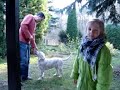 Atena-Szkolenie na dzia?ce