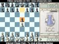 AJEDREZ: Bazna 2010 -  ronda 7