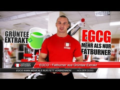 EGCG - Fatburner aus Grüntee Extrakt - Supplement-Ratgeber
