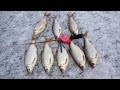 Видео - Жор крупной плотвы на водохранилище. Зимняя рыбалка сезон 2017