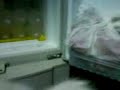 frozen jumong