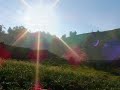 Karof, Trabzon OF,Dar?l? Savan K�y�, T�rkiye, Turkey