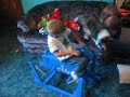 Blake Bull Riding Blake Bull Riding