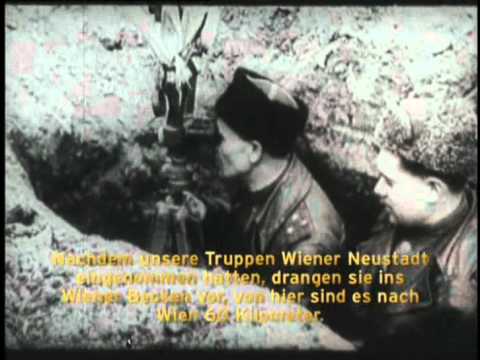 Мужские вены на руках