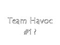 Authority Shitting On Team Havoc