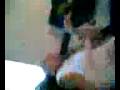 videos de tei-t goofy prt 2