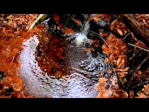 Man on a Ledge stream - 