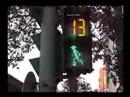 Taipei Crosswalk