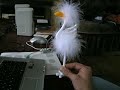 ?ílená labu? a MS WORD ?ílená labu? a MS WORD